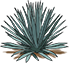 Decoración izquierda